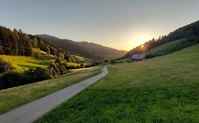 Irgendwo Im Schwarzwald