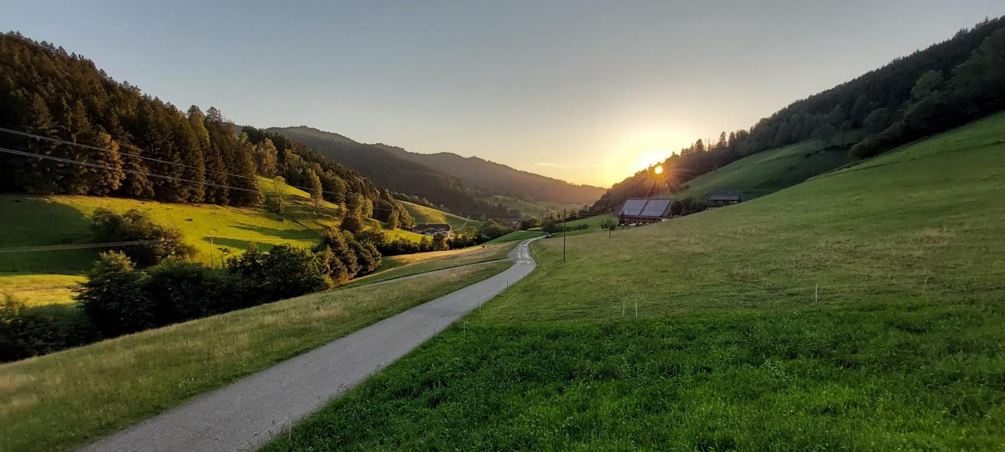 Irgendwo Im Schwarzwald Appartement Elzach Buitenkant foto